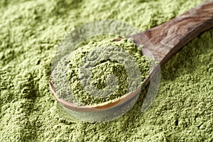 Young barley grass powder on a spoon - healthy supplement