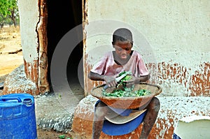 Young Batonka Girl Cutting Spinach, Gokwe North, Zimbabwe