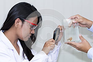 Young beautiful African american professor holding magnifying glass