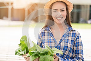 Young beautiful Asian woman holding hydroponic vegetable from her farm