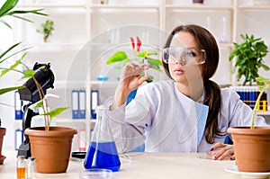 The young beautiful biotechnology chemist working in the lab