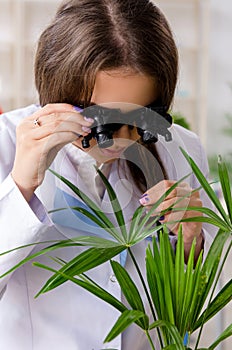 The young beautiful biotechnology chemist working in the lab