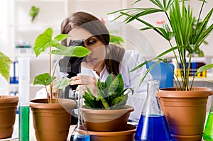 The young beautiful biotechnology chemist working in the lab