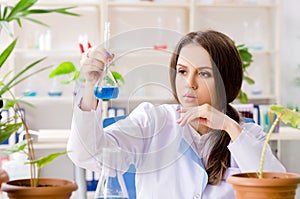 The young beautiful biotechnology chemist working in the lab