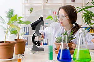 The young beautiful biotechnology chemist working in the lab