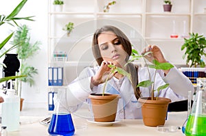 Young beautiful biotechnology chemist working in the lab