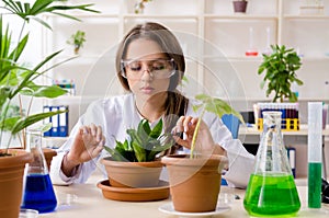 Young beautiful biotechnology chemist working in the lab