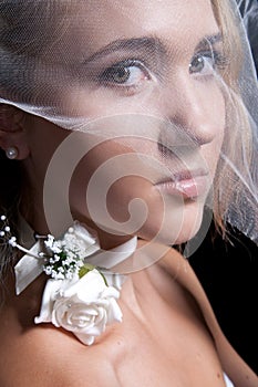 Young beautiful bride applying wedding make-up