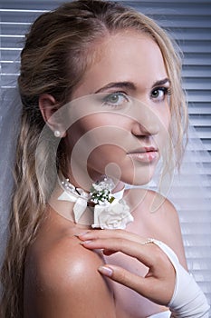 Young beautiful bride applying wedding make-up