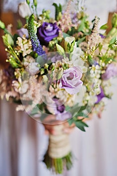 young beautiful bride in white dress holding wedding bouquet, bouquet of bride from rose cream spray, rose bush, rose purple Memor