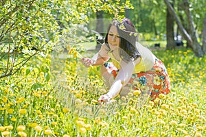 A young beautiful brunette girl in a bright summer dress collects a bouquet of dandelions.