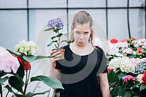 Young beautiful brunette girl in a greenhouse with hydrangea, spring flower and unusual facial expressions