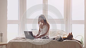 Young beautiful bruntte woman sitting on bed by the window. Working with laptop. Maine coon cats sitting near. 3840x2160