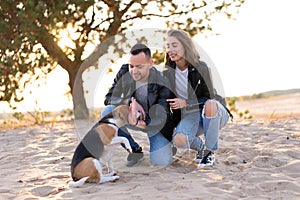 Young beautiful caucasian couple wearing leather jacket and jeans walks desert sand with Beagle dog best friend