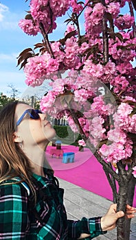 Young beautiful caucasian woman in profile in sunglasses sniffing pink sakura flowers. Spring blossom