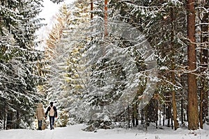 Young beautiful couple in love walking together in winter park