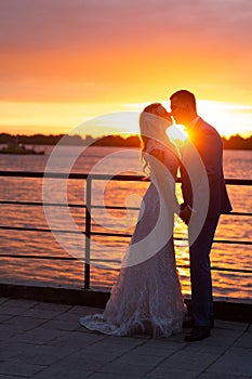 Young beautiful couple of newlyweds with bride and groom walk on the terrace by the ocean during a wedding ceremony in a wedding