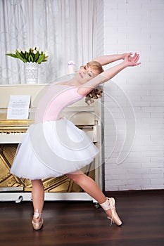 Young beautiful dancer posing in dance studio