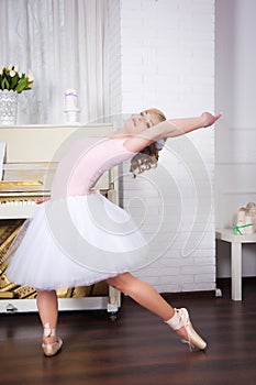 Young beautiful dancer posing in dance studio