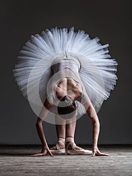 Young beautiful dancer posing in studio