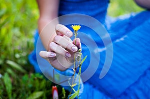 Young and beautiful elf walks Creative color, fashionable toning