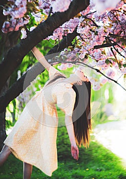 Young beautiful fashionable lady posing near flowering tree. Model wearing stylish clothes. Female beauty fashion. City