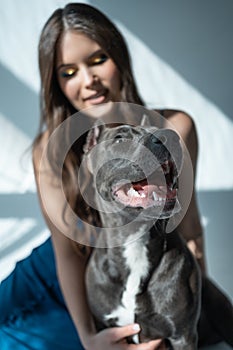 young beautiful female play with staffordshire terrier dog at home, pretty young woman playing with pet at house