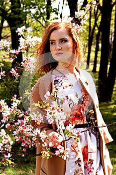 Young beautiful girl in an apple orchard. The portrait of the red-haired girl.