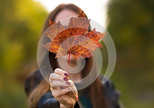 Young beautiful girl in autumn park holds a maple leaf