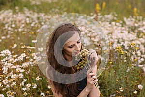 Young beautiful girl holds bouquet of flowers in hands in chamomile field