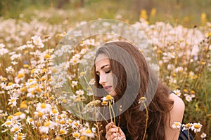 Young beautiful girl holds flowers in hands in chamomile field