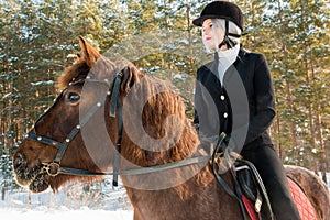 Young beautiful girl jockey riding a horse in winter forest