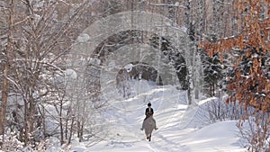 Young beautiful girl jockey riding a horse in winter forest