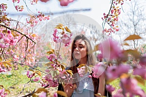 Young beautiful girl with long hair enjoys the beauty of spring nature near the blossoming sakura tree