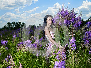 Young beautiful girl picks flowers in the field