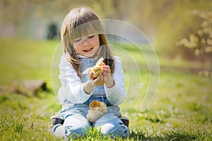 Young beautiful girl, playing with little newborn chick in the p