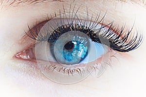 Young beautiful girl`s eye with big lashes