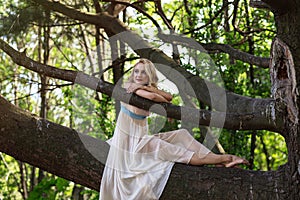 Young beautiful girl sitting on a big tree in summer park