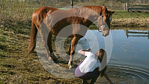 Young beautiful girl trying to make a horse swim 4K