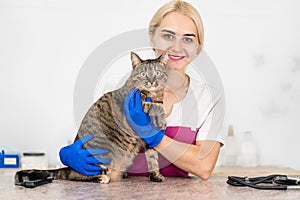 Young beautiful girl vet hugs and soothes a cat before examination