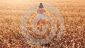 A young beautiful girl walks in a golden ripe wheat field at sunset.