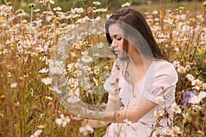 Young beautiful girl in white dress collecting flowers in chamomile field