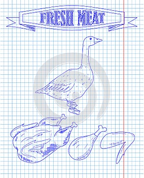 Young beautiful goose on a farm and fresh meat