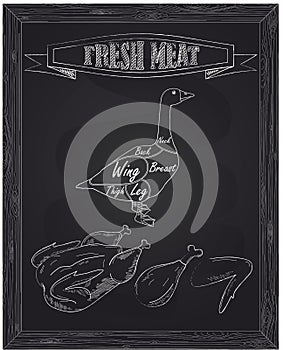 Young beautiful goose on a farm and fresh meat