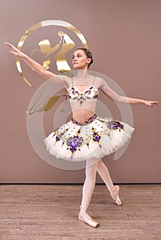 Young beautiful graceful caucasian ballerina practice ballet positions in tutu skirt