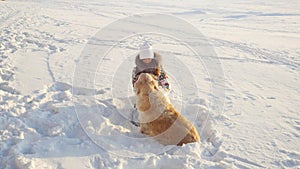 Young beautiful happy girl plays with a retriever dog in the snow in winter in sunny day during sunset time