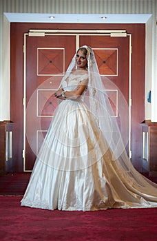 Young beautiful luxurious woman in wedding dress posing in luxurious interior. Gorgeous elegant bride with long veil. Full length