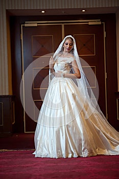 Young beautiful luxurious woman in wedding dress posing in luxurious interior. Gorgeous elegant bride with long veil. Full length