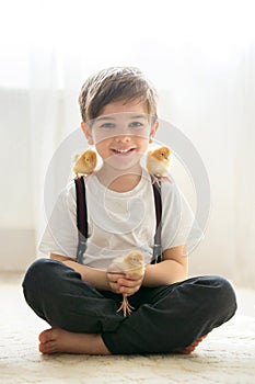 Young beautiful prechool boy, playing with little newborn chick