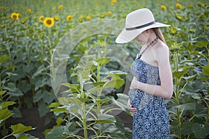 Young beautiful pregnant woman stands in a hat and dress on the field of blooming sunflowers